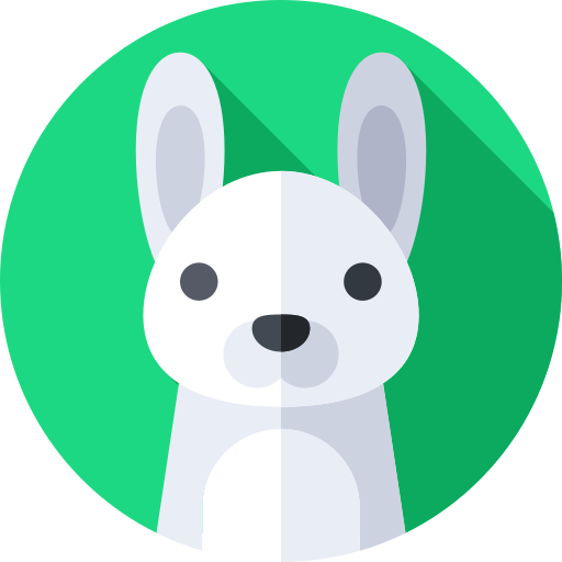 User 2